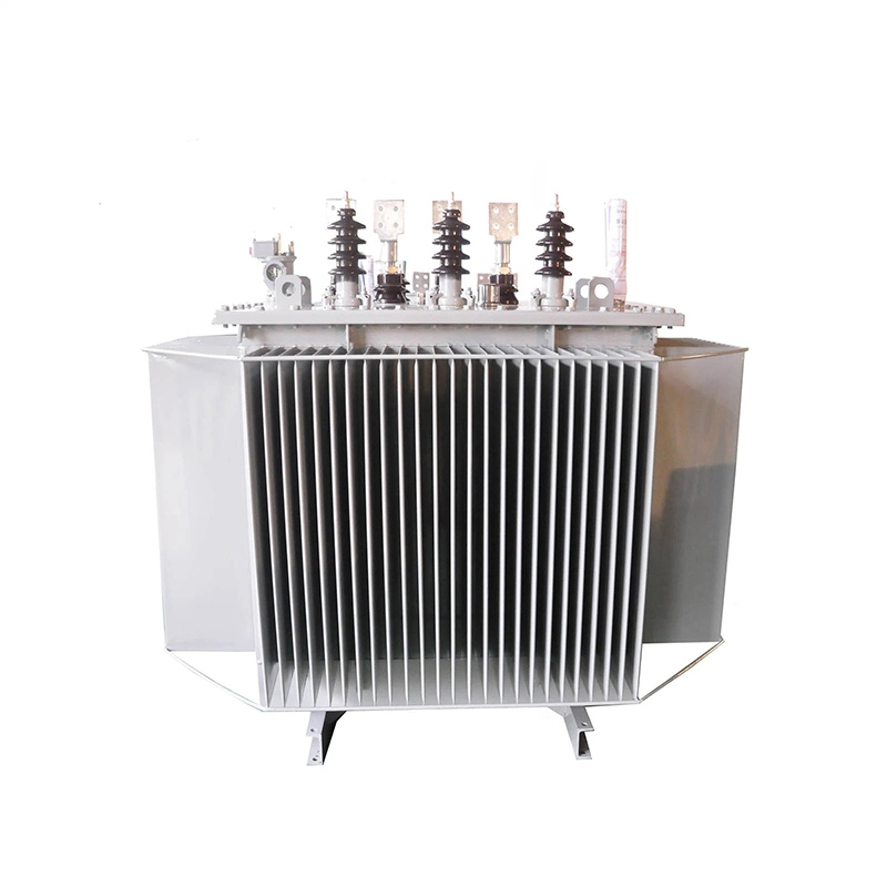 22kv Power Transformer 1000kva ဆီနှစ်မြှုပ်ထားသည်။