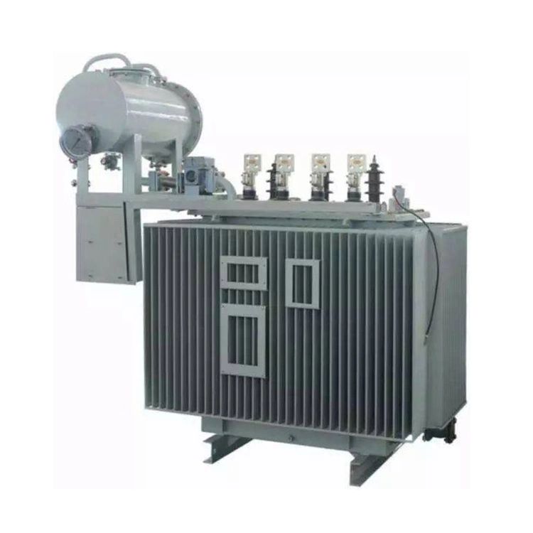 Oil Immersed Transformer 11kv To 0 4kv 800kva